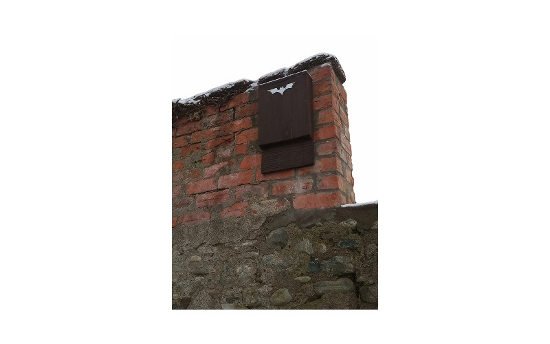 We welcome bats We welcome bats